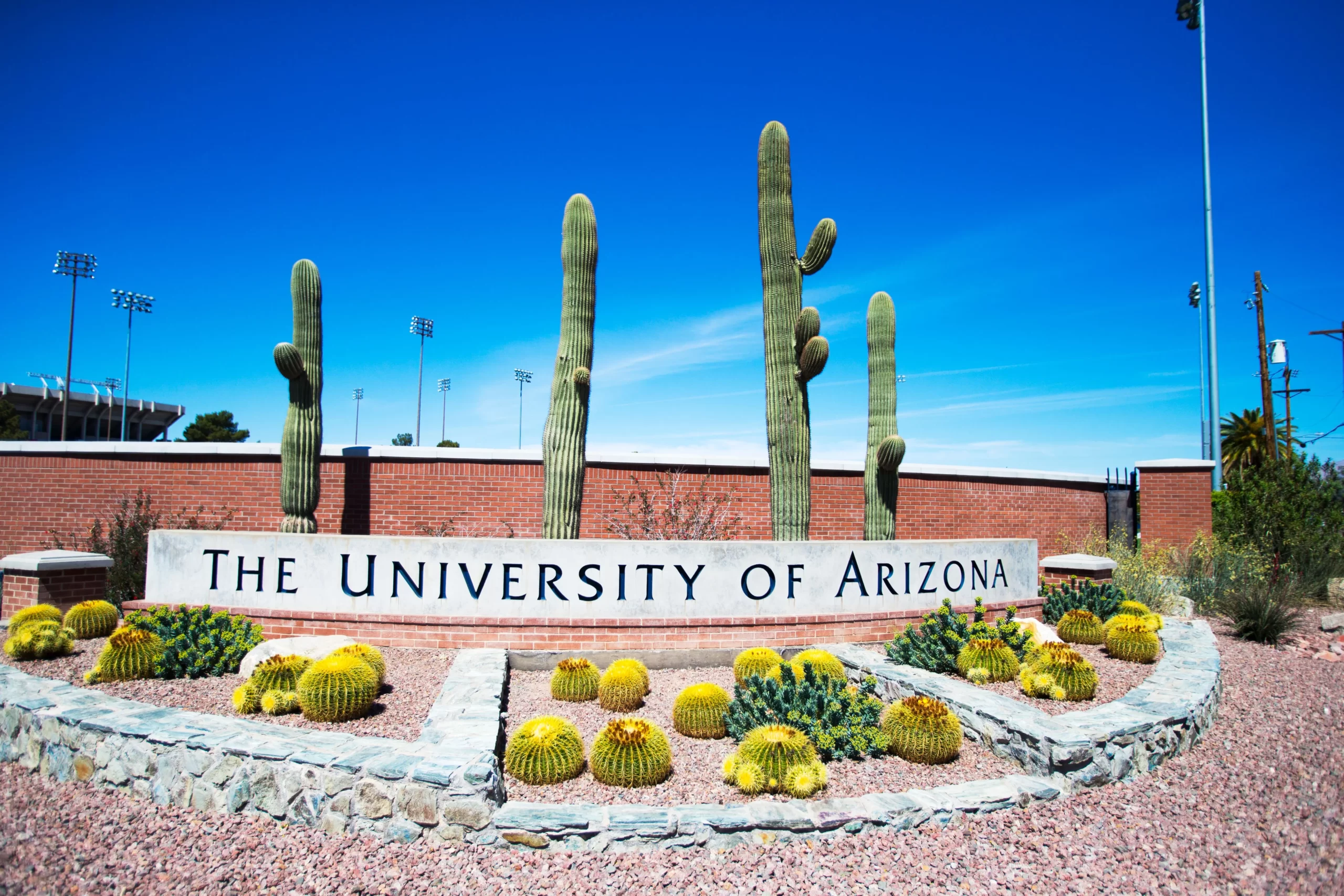 University of Arizona Global Campus (UAGC),Benefits of the UAGC Student Portal