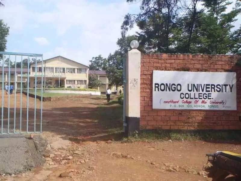 Rongo University